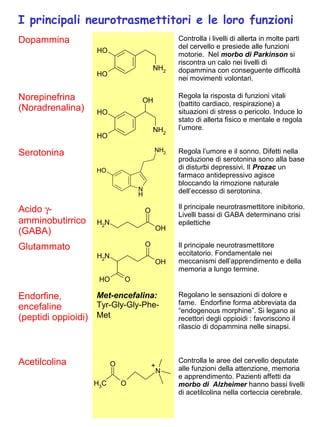 infografica sui principali neurotrasmettitori e le loro funzioni