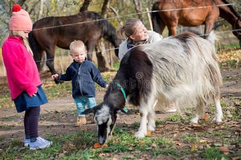 Bambini che accarezzano una capra in fattoria