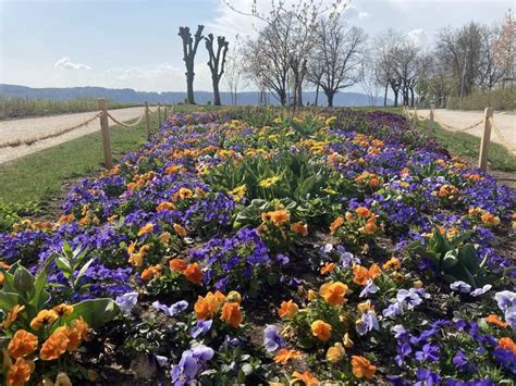 Parco giochi sul lungolago di Colico