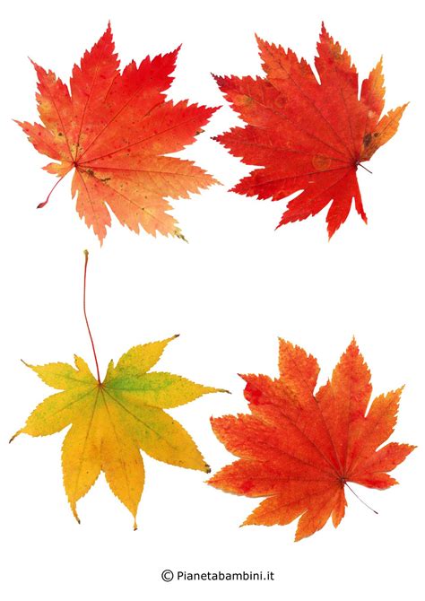 foglie d'autunno colorate e bambini