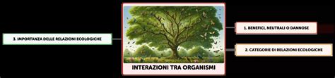 Rappresentazione delle interazioni tra individuo e ambiente nell'ICF
