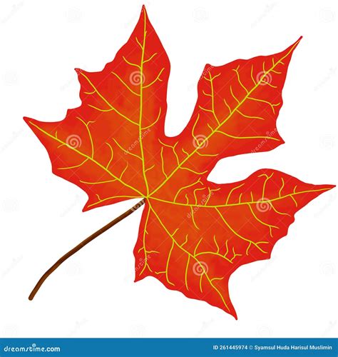 Illustrazione di una foglia autunnale