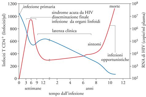 Grafico riduzione infezioni K12