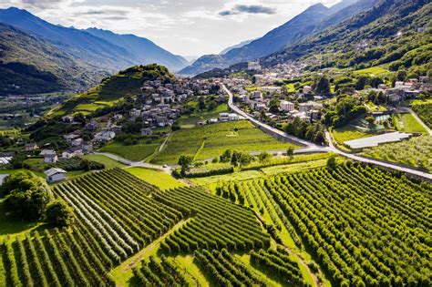 Mappa del territorio di operatività tra Valtellina e Lago di Como