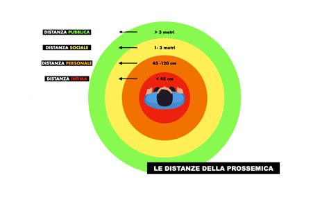 Schema tecnico che illustra le 8 zone di contatto in un incontro di Muay Thai