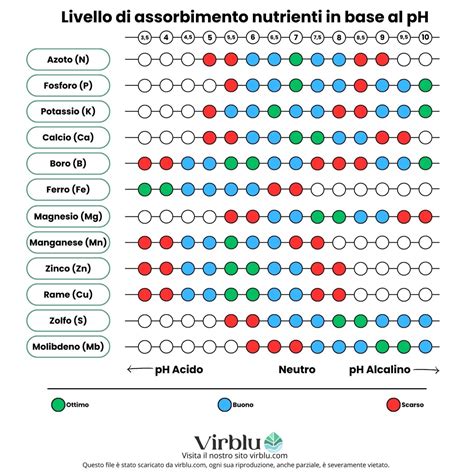 Schema del terreno ideale per le rose