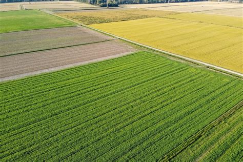 Programma di irrigazione o agricoltura sostenibile in Africa