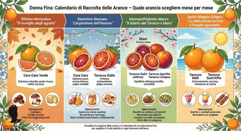 infografica che illustra il calendario di maturazione delle principali varietà di ciliegie da maggio a luglio