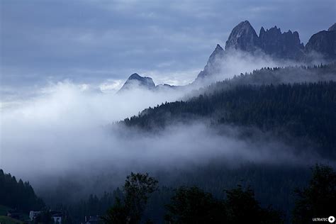 paesaggio autunnale avvolto da una fitta nebbia mattutina