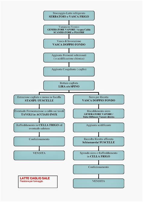 diagramma di flusso semplificato della produzione di formaggio primo sale: latte, caglio, coagulazione, sgrondatura