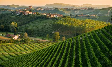 paesaggio rurale delle colline dell'Alto Casertano con agriturismo e vigneti