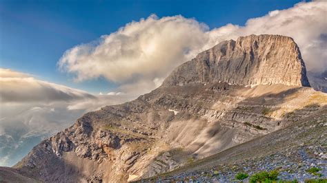 Rappresentazione artistica del Monte Olimpo e l'apparizione divina di Atena