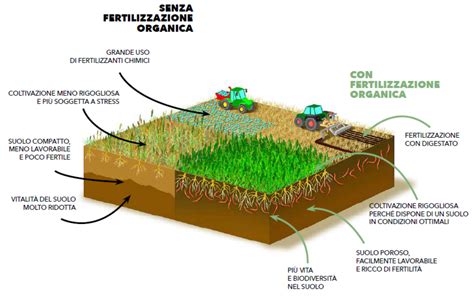 Schema concettuale della fertilità del suolo
