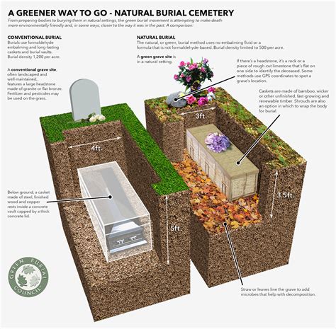 Cemetery exhumation process diagram illustrating the stages
