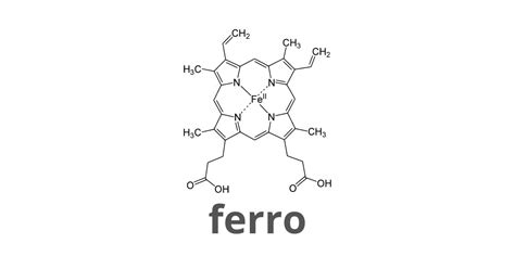 Struttura molecolare della ferritina con il ferro immagazzinato