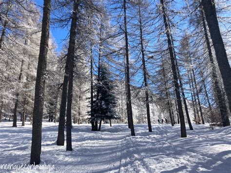 panoramica innevata del Pian delle Betulle durante la stagione invernale