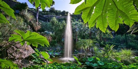 Vista panoramica sui rigogliosi Giardini La Mortella