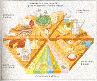 schema di una dieta bilanciata per la prevenzione del benessere addominale