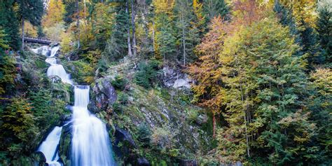 Panorama suggestivo dei boschi fitti e scuri della Foresta Nera
