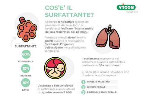 Illustrazione del funzionamento del surfattante polmonare