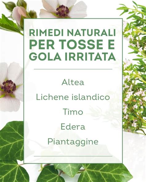 Estratti naturali come lichene islandico e propoli