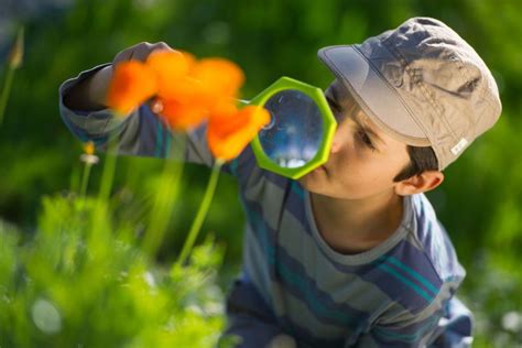 Bambino che osserva attentamente un fiore