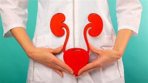 illustrazione stilizzata che rappresenta il benessere delle vie urinarie e la salute infantile