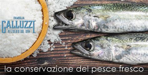 schema grafico che mostra la corretta conservazione del prodotto in luogo fresco e asciutto