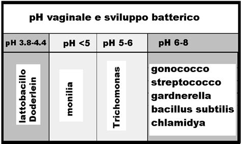 illustrazione schematica dell'ecosistema vaginale e dei fattori di equilibrio batterico