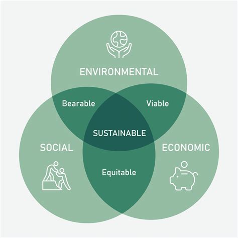 An illustration showing the intertwining concepts of nature, sustainability, and ethical production practices, with a focus on natural ingredients and eco-friendly packaging.