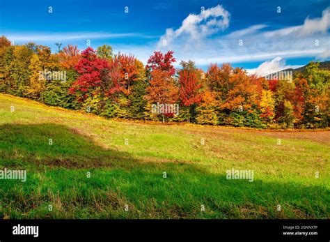 paesaggio boschivo del New England in autunno