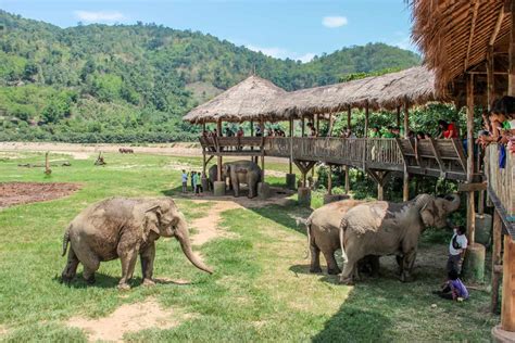 Bambini interagiscono con gli elefanti all'Elephant Nature Park