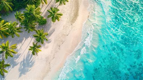 Spiaggia tropicale con palme e mare cristallino