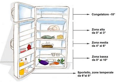 schema che illustra la conservazione corretta delle polpette in frigorifero e freezer