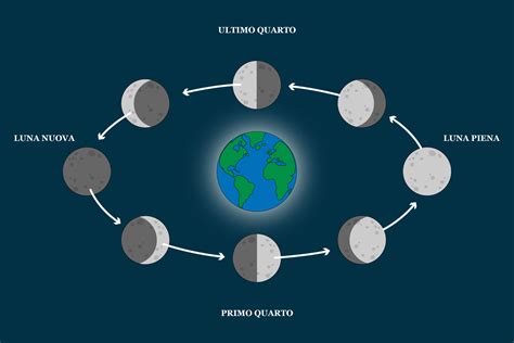 Diagramma dell'Esercizio Intenzionale e le sue fasi