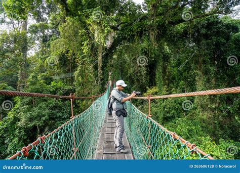 bambini che camminano su un ponte sospeso in una foresta pluviale