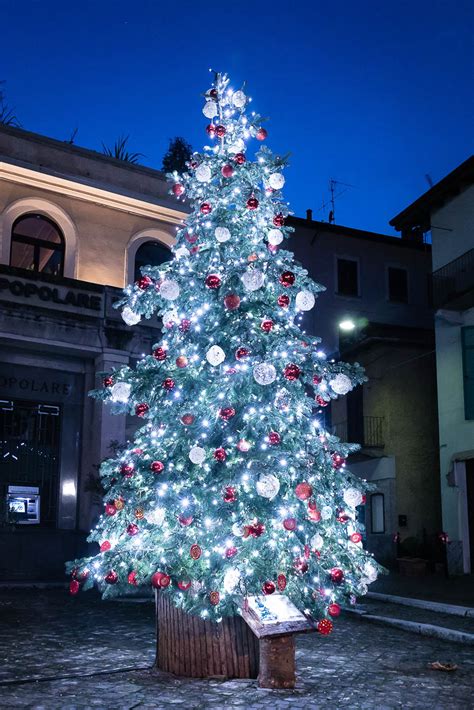 Bambini che cercano indizi sotto un albero di Natale decorato