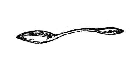 Illustrazione di un cucchiaino dosatore per sciroppo
