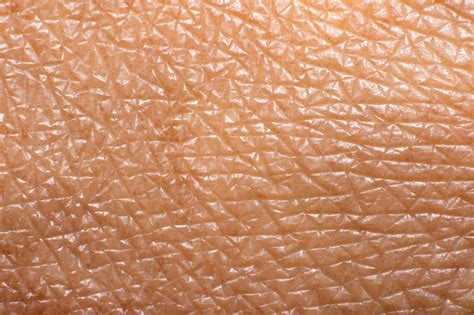 Dettaglio macro sulla texture della pelle e dell'inserto in suede di una Gazelle Bold