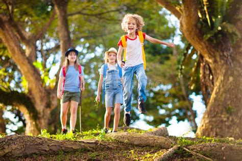 Bambini che esplorano un sentiero didattico in una fattoria immersa nel verde
