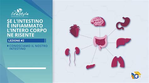 infografica che mostra la differenza tra un intestino sano e uno infiammato