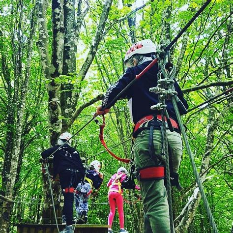 percorso avventura sospeso tra gli alberi di un bosco