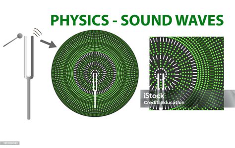 diagramma che illustra le onde sonore che raggiungono il feto nell'utero