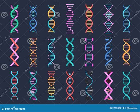 rappresentazione stilizzata del DNA intrecciato con simboli di genere