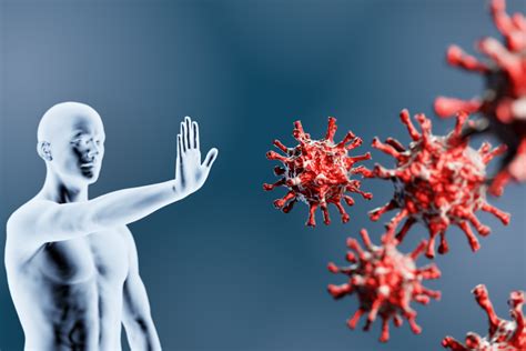 Sistema immunitario in azione