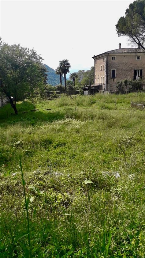 paesaggio rurale dell'Ottocento nel Sud Italia tra boschi e montagne