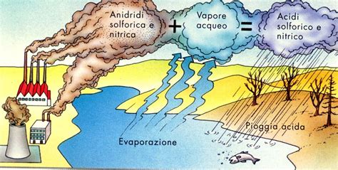 effetto delle piogge acide sulle foreste