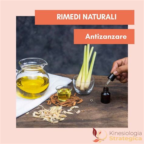 Repellenti chimici vs naturali: infografica comparativa
