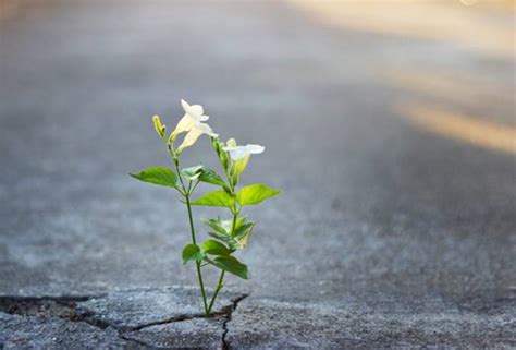 rappresentazione simbolica di un cuore che accoglie e genera speranza