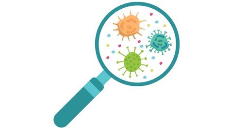 rappresentazione anatomica di un'articolazione colpita da infezione batterica